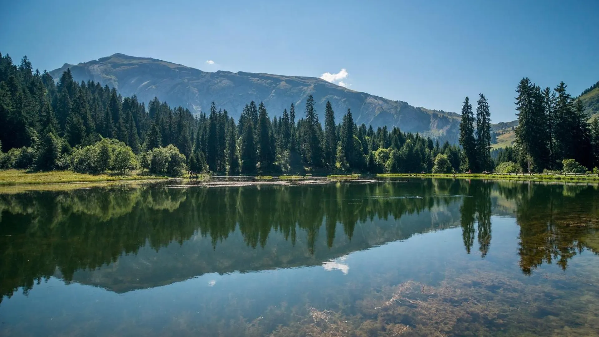 Chalet 3 Etoiles - Le Pelouet Morzine France